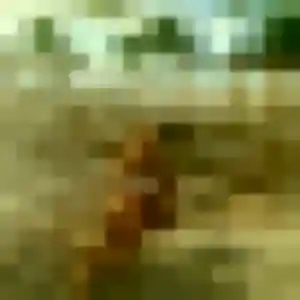 rencontre libertine à Plérin : profil de Severine, 28 ans - accès libre