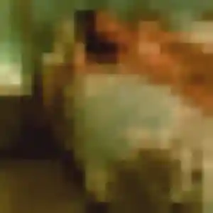 Photo de Chloe à Pontault-Combault (32 ans) - rencontre libertine discret