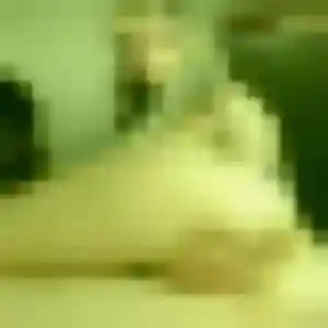 Photo perso de Vanessa, 27 ans à Portet-sur-Garonne - rencontre coquine