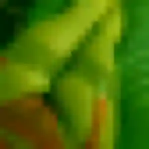 Azalee, 38 ans, dispo pour rencontre libertine à Prades-le-Lez