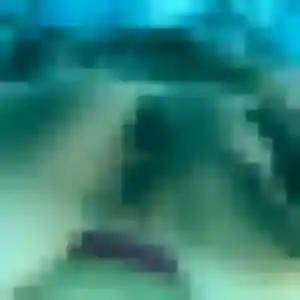 Photo privée de Natasha, 35 ans à Rivière-Salée - rencontre sans lendemain