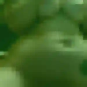 Photo sexy de Fleur, 25 ans à Rousset - rencontre coquine