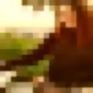 Photo privée de Solange, 19 ans à Saint-Brevin-les-Pins - rencontre coquine
