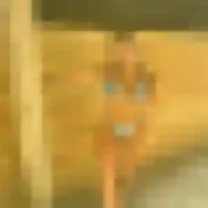 Belle Colombine, 31 ans à Saint-Hilaire-du-Harcouët - la contacter