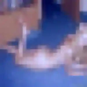 Zina, 29 ans, connectée à Saint-Jean-de-Boiseau pour une rencontre coquine