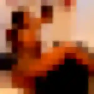 Tatiana, 38 ans, disponible à Saint-Omer pour une rencontre coquine