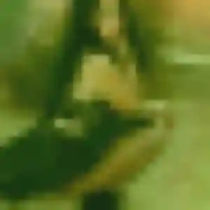 Profil de Orane à Sausheim (25 ans) - rencontre libertine sans inscription