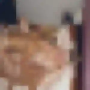 Martine, 36 ans, disponible à Seichamps pour une rencontre coquine