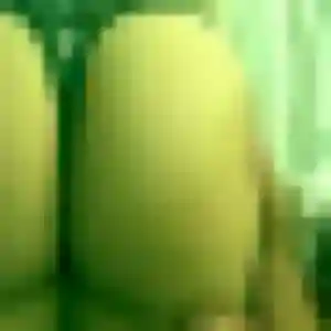 Sexy Zara, 25 ans à Séméac - découvrir son profil