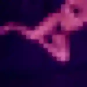 Ornella (45 ans) à Soisy-sur-Seine cherche un rencontre libertine ce soir