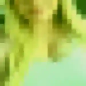 Photo exclusive de Deborah, 38 ans à Terville - rencontre sans lendemain