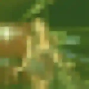 Photo de Corinne à Vauréal (22 ans) - rencontre libertine anonyme