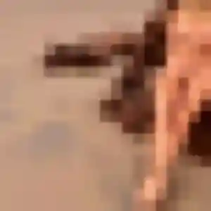 Photo de Theresa à Vergèze (36 ans) - rencontre libertine gratuit