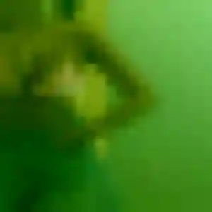 Photo exclusive de Elise, 33 ans à Villard-Bonnot - rencontre coquine