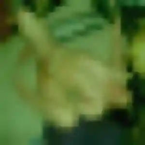 Leontine, 44 ans, dispo pour rencontre libertine à Villejuif