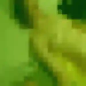Contacte Ursula, 38 ans à Villepinte gratuitement
