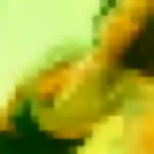 Domitille, fille de 40 ans cherche rencontre libertine à Yzeure